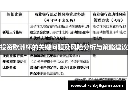 投资欧洲杯的关键问题及风险分析与策略建议 投资欧洲杯的关键问题及风险分析与策略建议