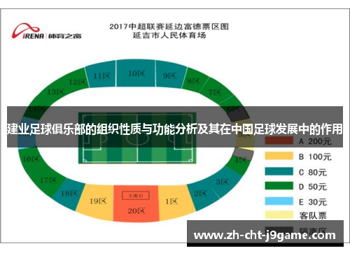 建业足球俱乐部的组织性质与功能分析及其在中国足球发展中的作用