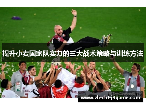 提升小麦国家队实力的三大战术策略与训练方法